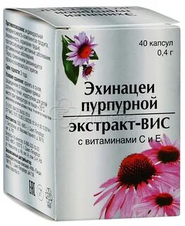 Эхинацея можно пить