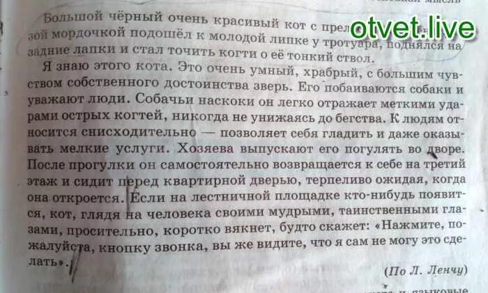 Огромный текст с вопросами. План по тексту большой черный очень красивый кот с прелестной. Изложение по русскому большой черный очень красивый кот с прелестной. Текст по русскому большой черный очень красивый кот с прелестной. Большой чёрный кот подошёлк к лавке началточит. Изложение.