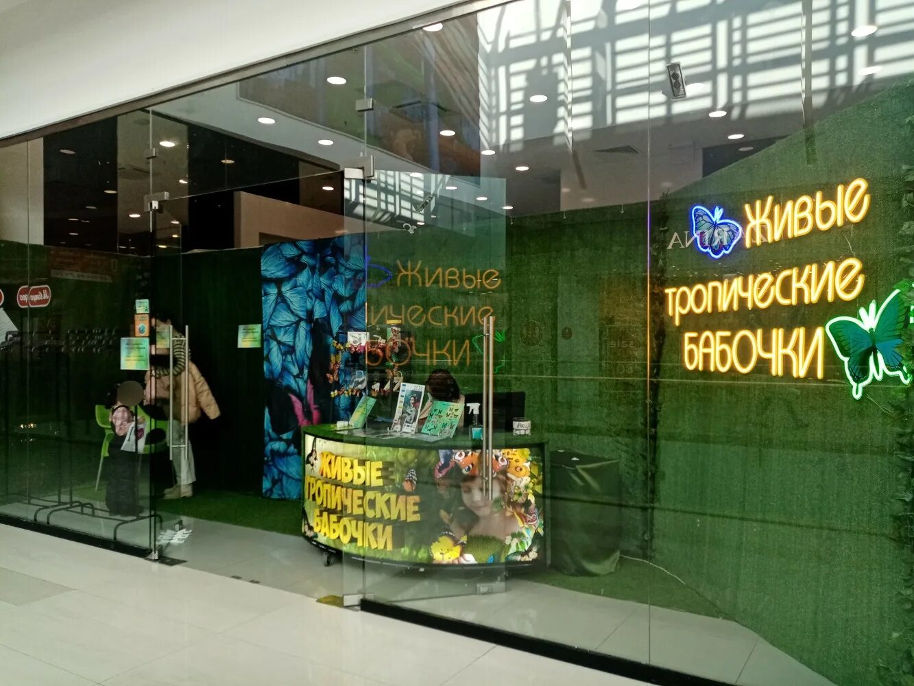 Выставка планета живых бабочек сыктывкар. Выставка бабочек в уфе 2023. Выставка тропических бабочек в кирове. Киров выставка живых бабочек. Выставка живых бабочек брянск.