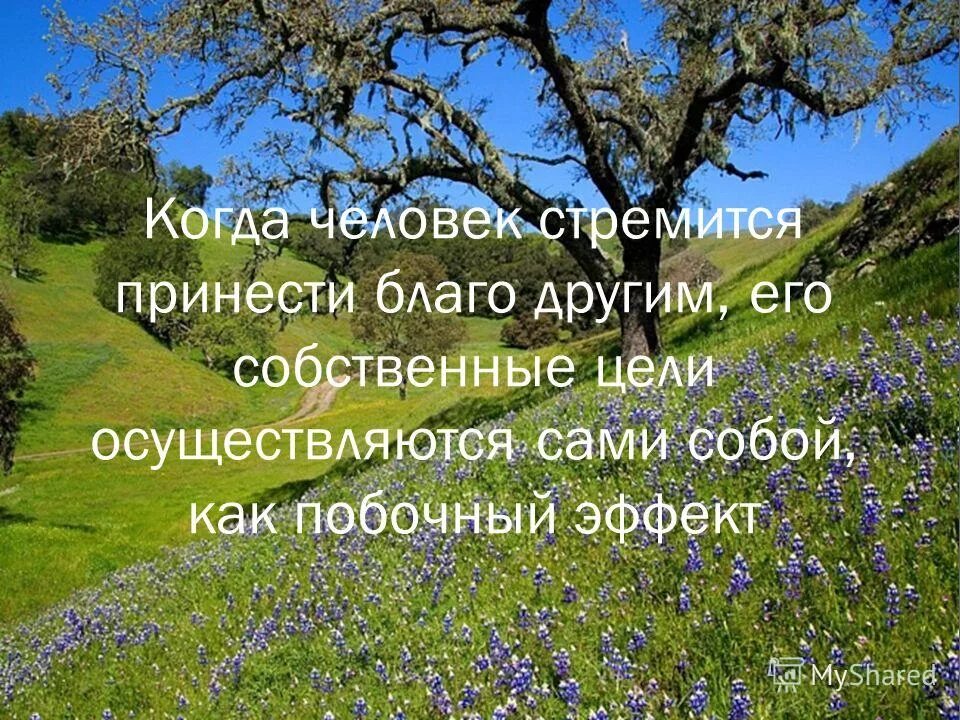 приносите или принесите как правильно. несу добро картинки. несущий благо. несущий благо. несущий благо.