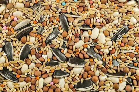 Safe seed