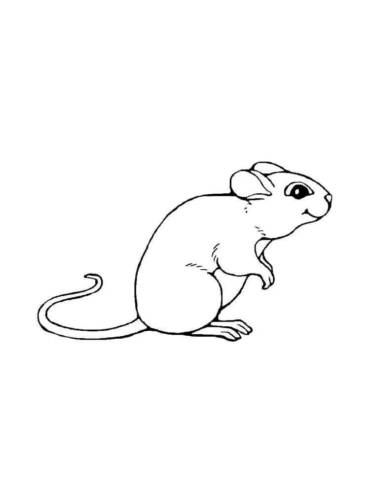 Раскраска мышка. Мышь раскраска для малышей. Раскраска мышонок. Мышонок картинка для детей раскраска. Раскраска мышь распечатать