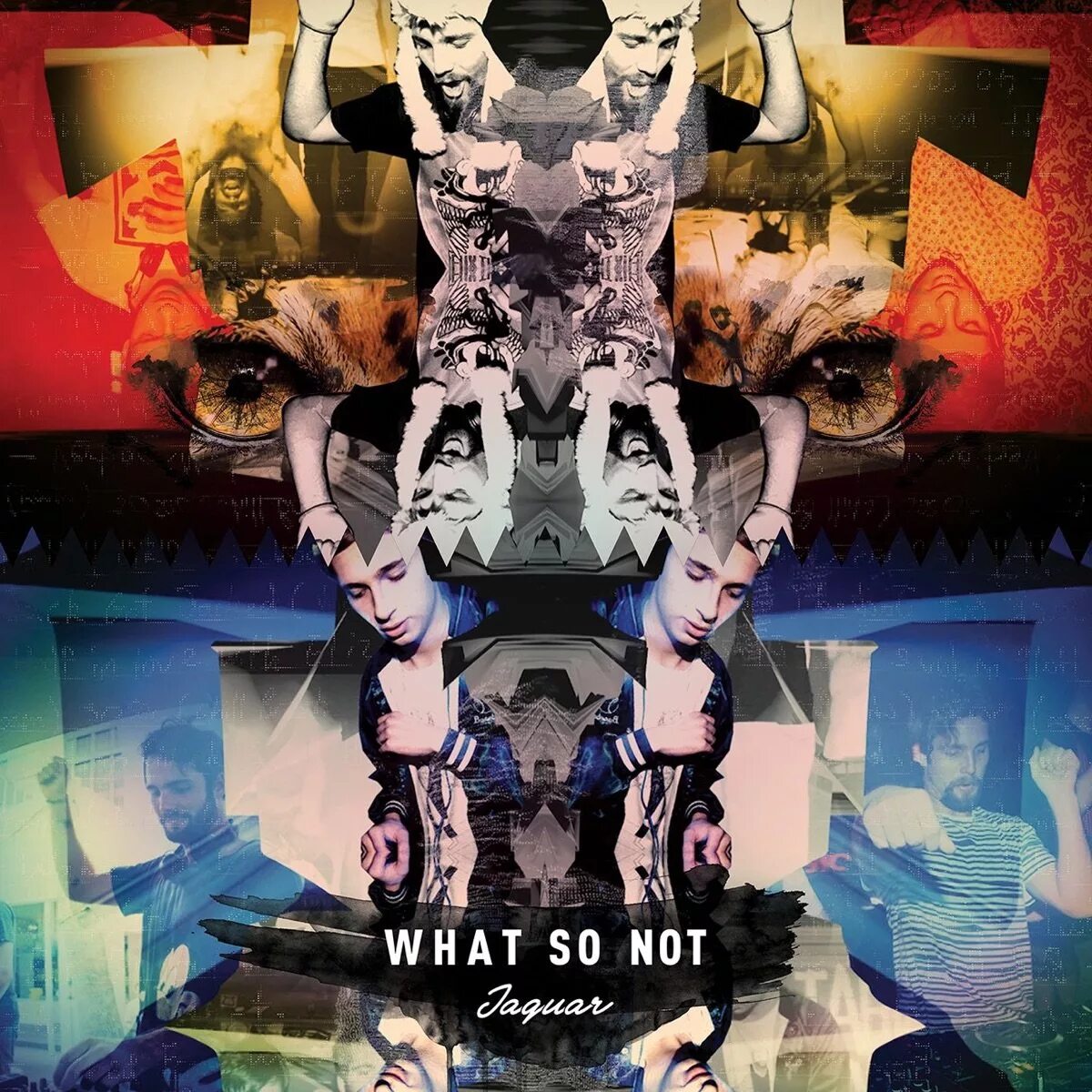What you do so far for the. What so not - jaguar. jaguar what so not обложка. gosha $not обложка альбома. calvertron what so not.