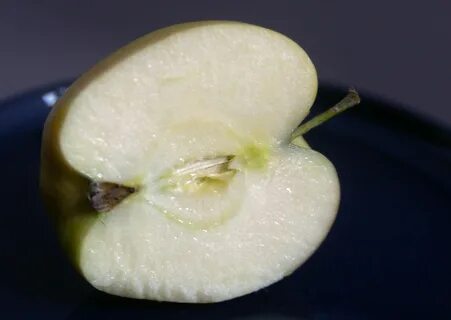 Сорт яблони амброзия отзывы