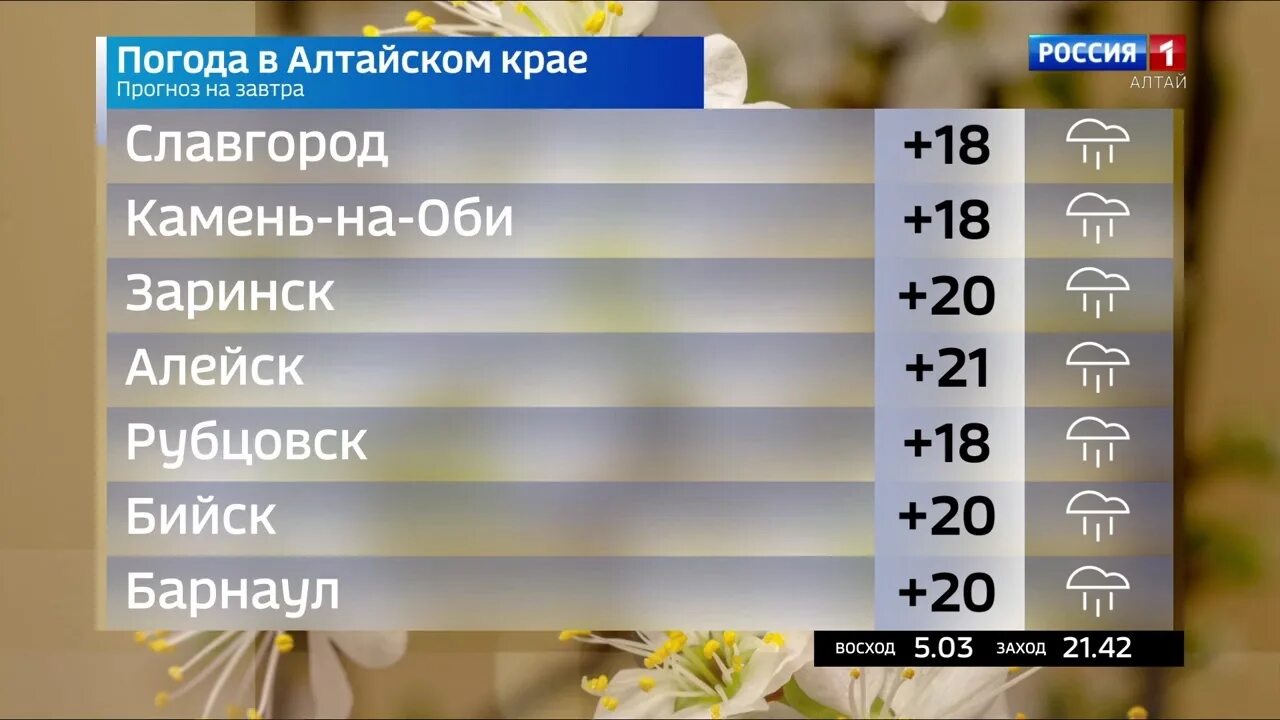 Алтай погода. Алтай климат по месяцам. Погода на завтра. Погода сейчас. Погода володарку алтайский край