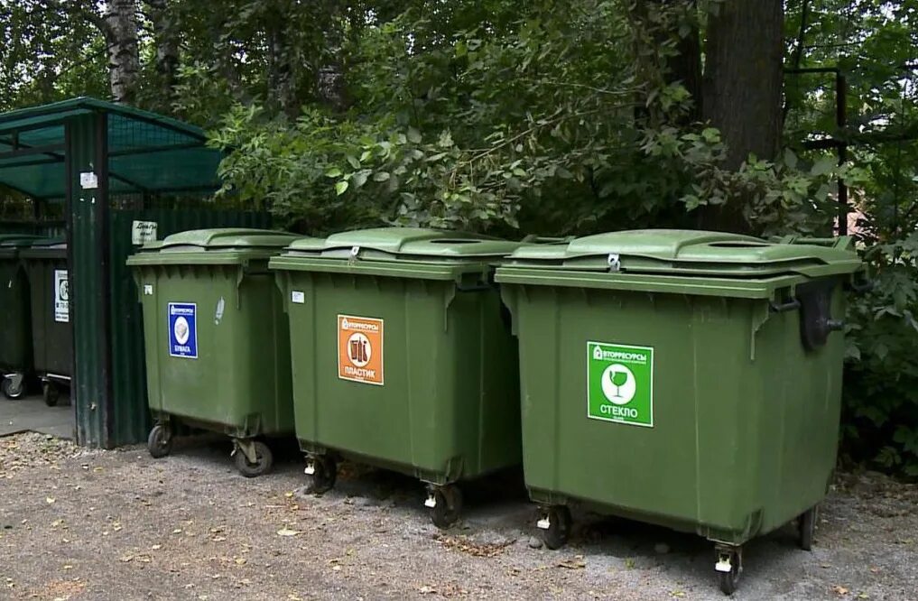Осипенко 51/1 мусорные баки. ТБО евроконтейнер (за 1м3). Мусорные контейнеры в лесу. Контейнер для сбора бытовых отходов.