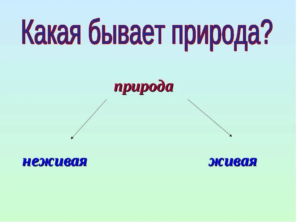 Какие бывают среды 5 класс. Какая бывает природа. Какая бывает Живая природа. Живая природа презентация. Природа это определение.