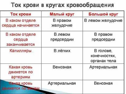 Таблица кровообращения