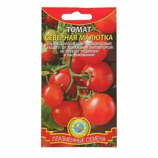 Северная томат характеристика