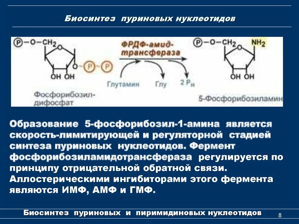 Биосинтез роль ферментов. Синтез пуриновых и пиримидиновых. Синтез пуринового кольца биохимия. Синтез пиримидиновых нуклеотидов. Синтез пуриновых нуклеотидов de novo.