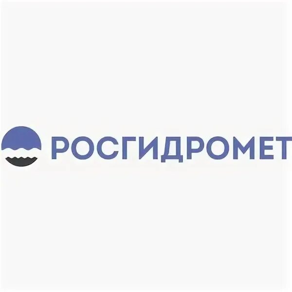 Госгидромет. Логотип Росгидромета. Федеральная служба по гидрометеорологии и мониторингу. Логотип Гидрометереология. Федеральное бюджетное государственное учреждение гидрометеорологии