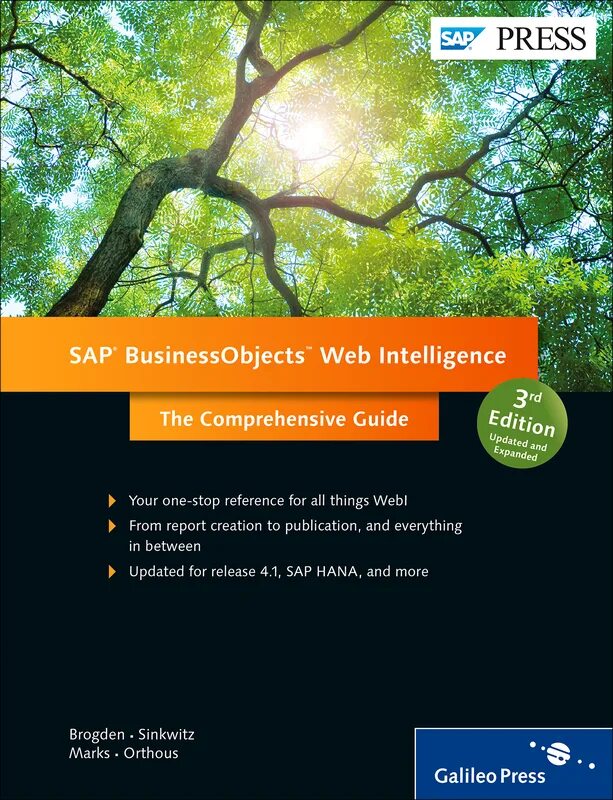 Web sap. Sap businessobjects web intelligence. sap businessobjects. sap businessobjects web intelligence вход. business objects new edition.