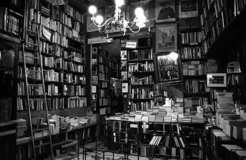 Bu lib. Библиотека it. the library book. paint library monochrome.