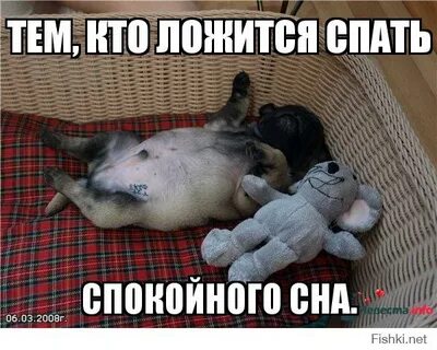 Все спят кто же