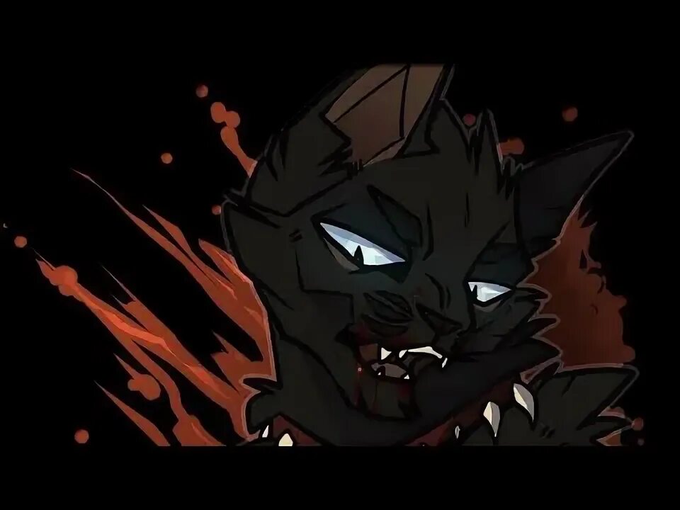 Жизнь бича. Коты воители бич распечатать. видео про бича из котов воителей песня ego.