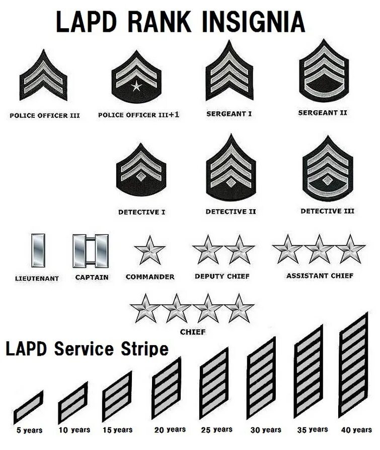 Сокращение сержант. Ранги полиции США. Структура званий в полиции США. Иерархия званий в полиции США. LAPD нашивки звания.