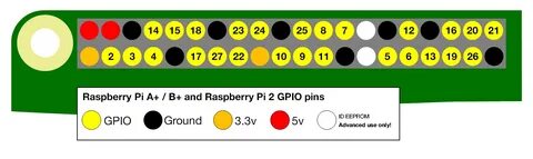Pin pi