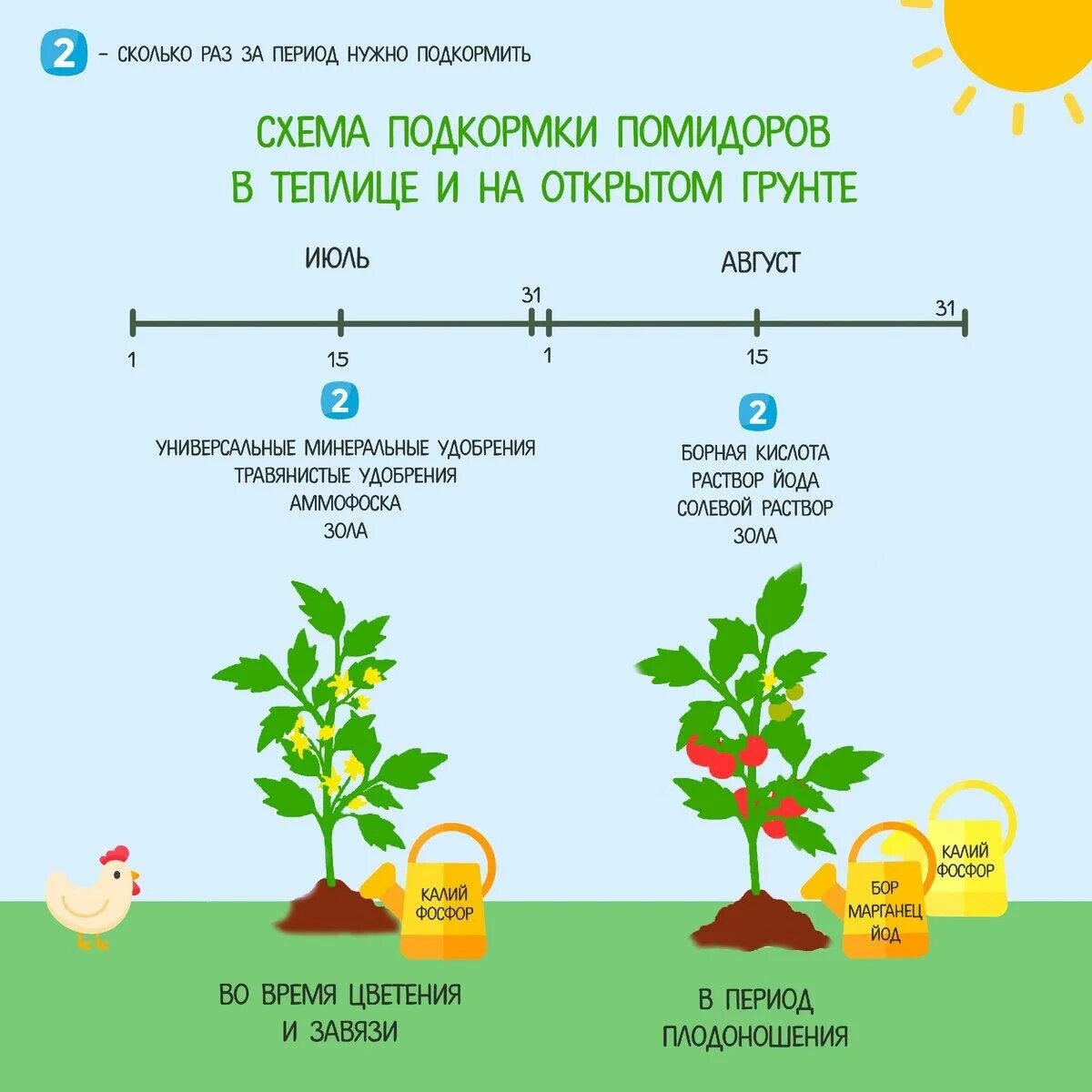 Что такое плодоношение