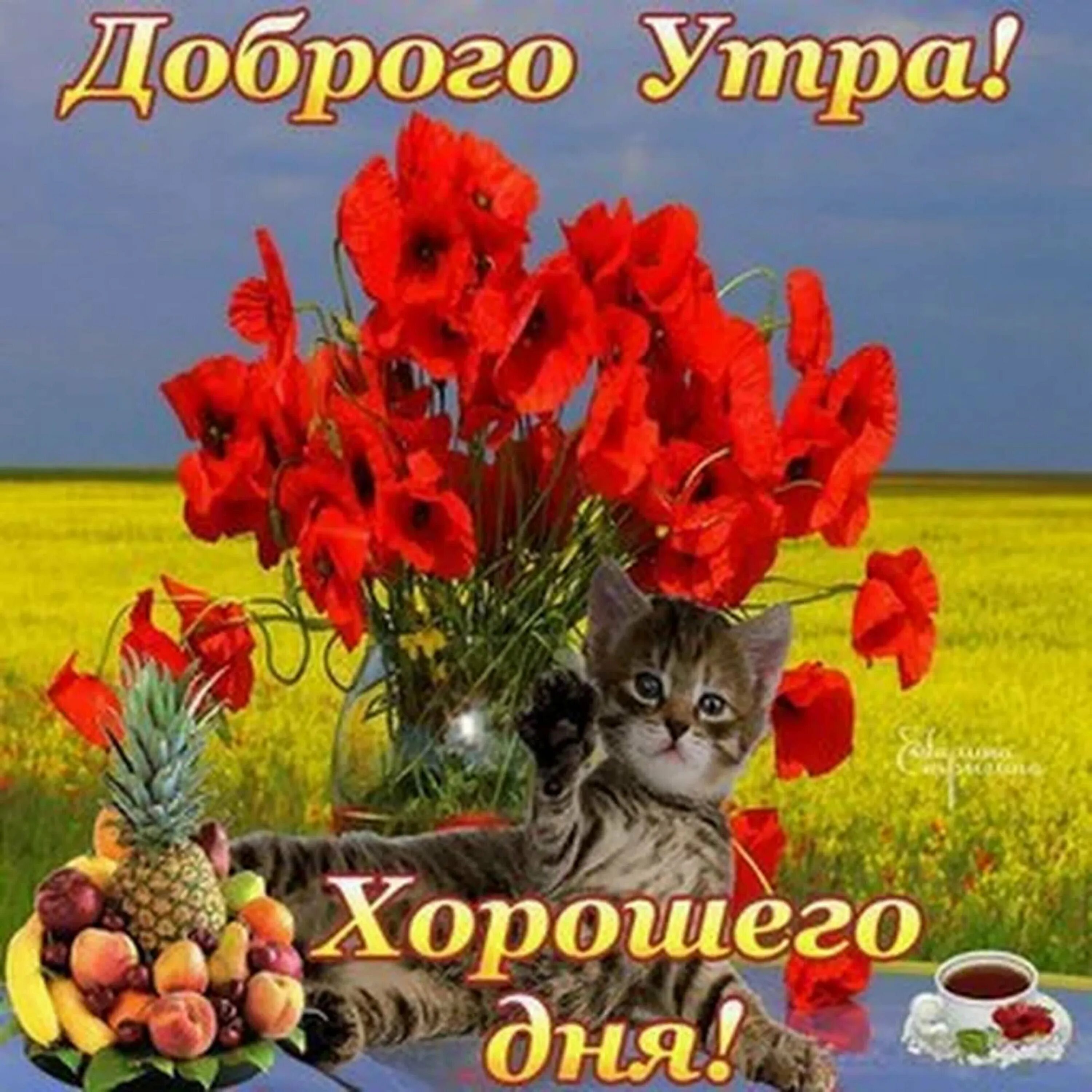 Доброго утречка хорошего денечка и настроения. Яркого дня и хорошего настроения. чудесного денёчка и отличного настроения. открытка прекрасный день. прекрасного дня и отличного настроения.