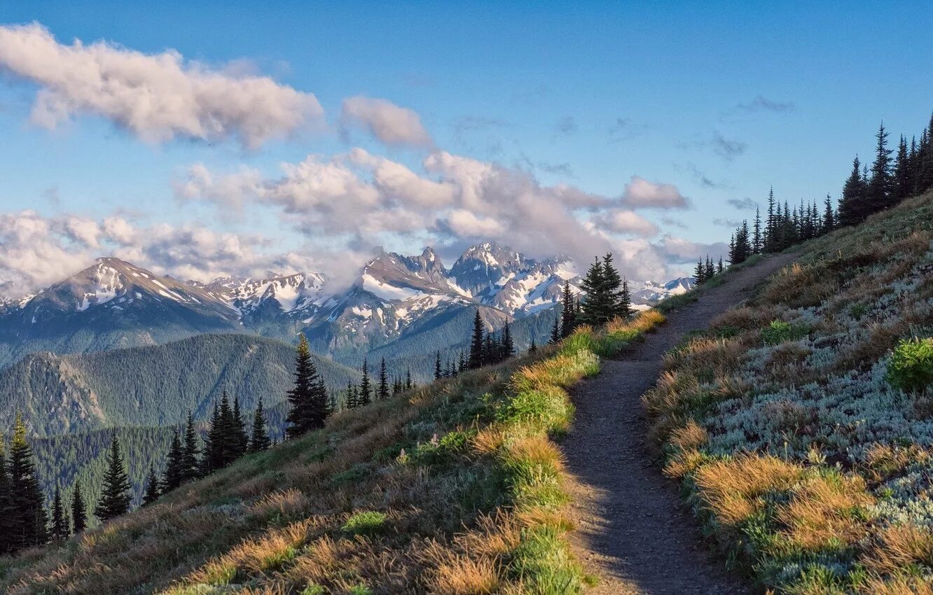 горы олимпик национального парка олимпик. красивый склон. доломитовые альпы скалы. доломитовые альпы в 2023. снежные горы.
