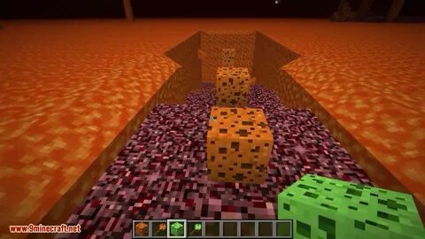 Spongeforge