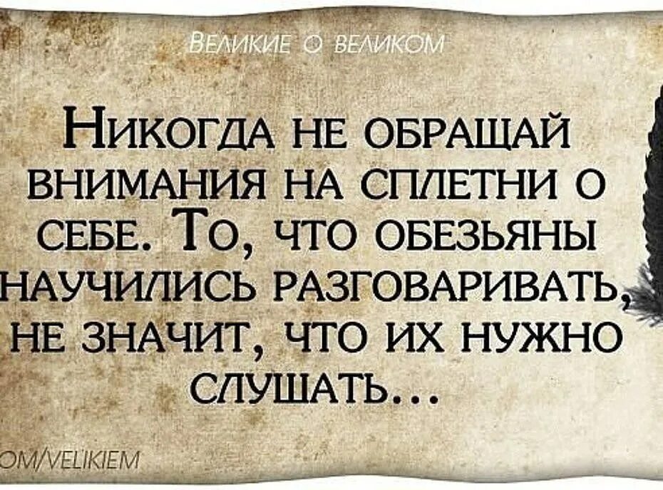 Всегда жил один. Афоризмы про сплетни. Афоризмы про судьбу. Цитаты про слухи. Фразы.