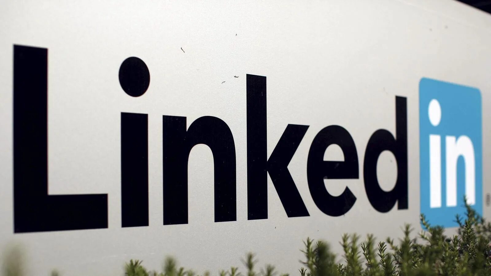 Linked in app. Линкедин. логотип linkedin. картинки для linkedin. картинка для линкедин.