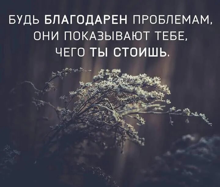 Этих проблем но благодаря. Вдохновляющие цитаты. будь благодарен проблемам они показывают чего ты стоишь. быть благодарным цитаты надо уметь. будь благодарен проблемам.