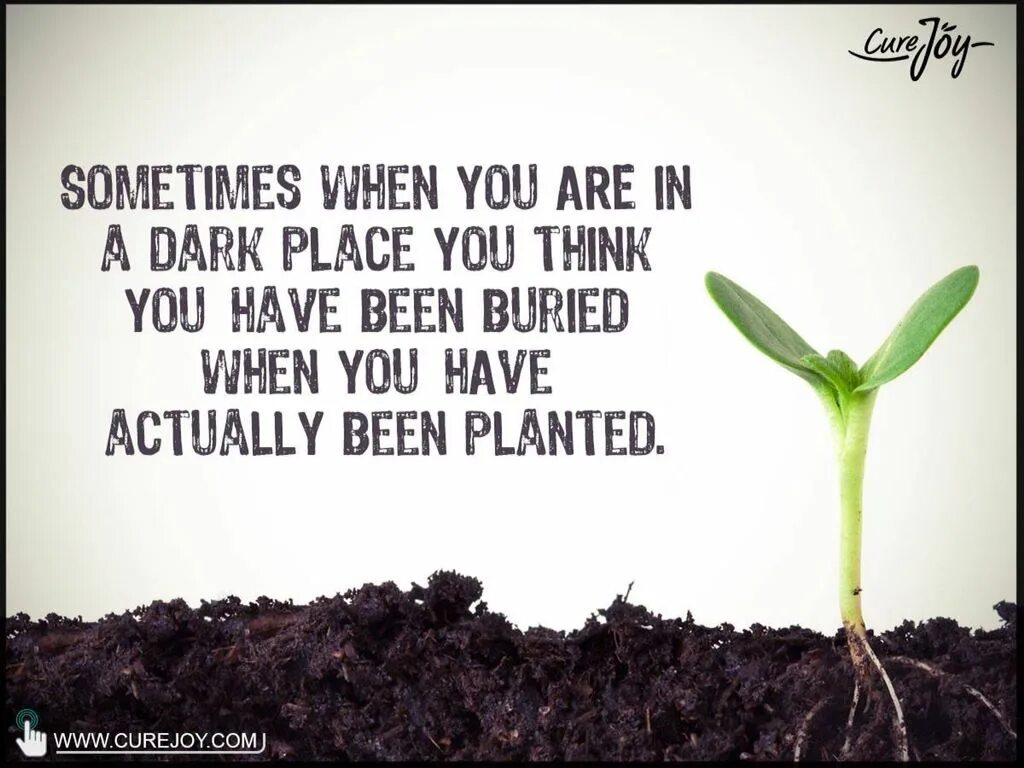 Think you are песня. Sometimes when you are in a Dark place. Sometimes when you are in a Dark place you think youve been Buried. Sometimes when you are in a Dark place you think you where burried. Sometimes you in the Dark place, you think you been Buried poster.