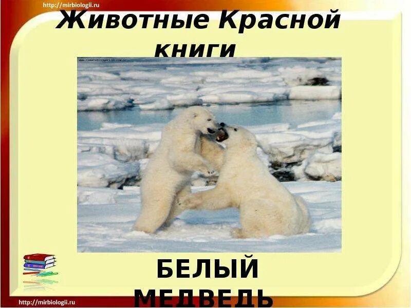 Развитие речи на тему животные севера: найдено 90 изображений