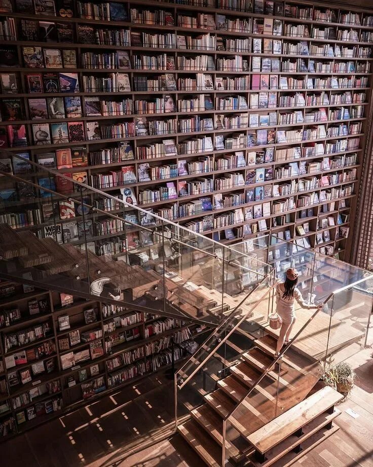 Шикарная библиотека. Большие библиотеки.