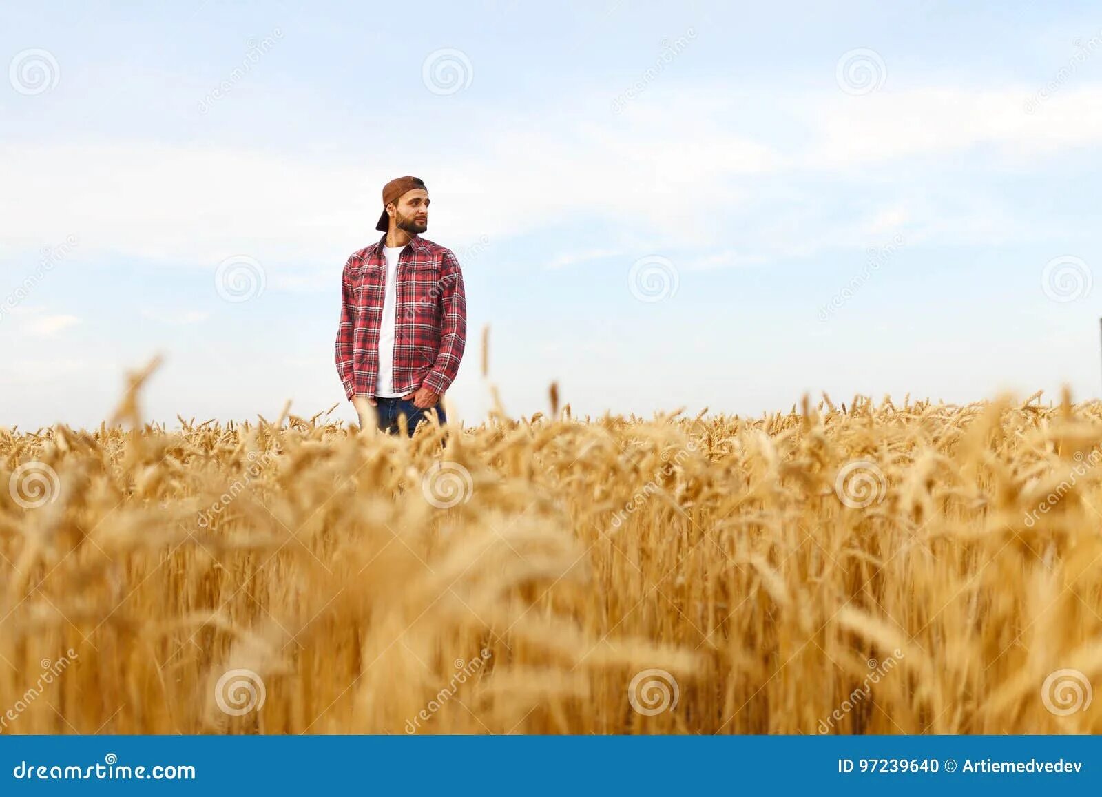 Парень в поле. Стоит в поле. Стоял на поле. Мужчина в поле. Человек в поле.