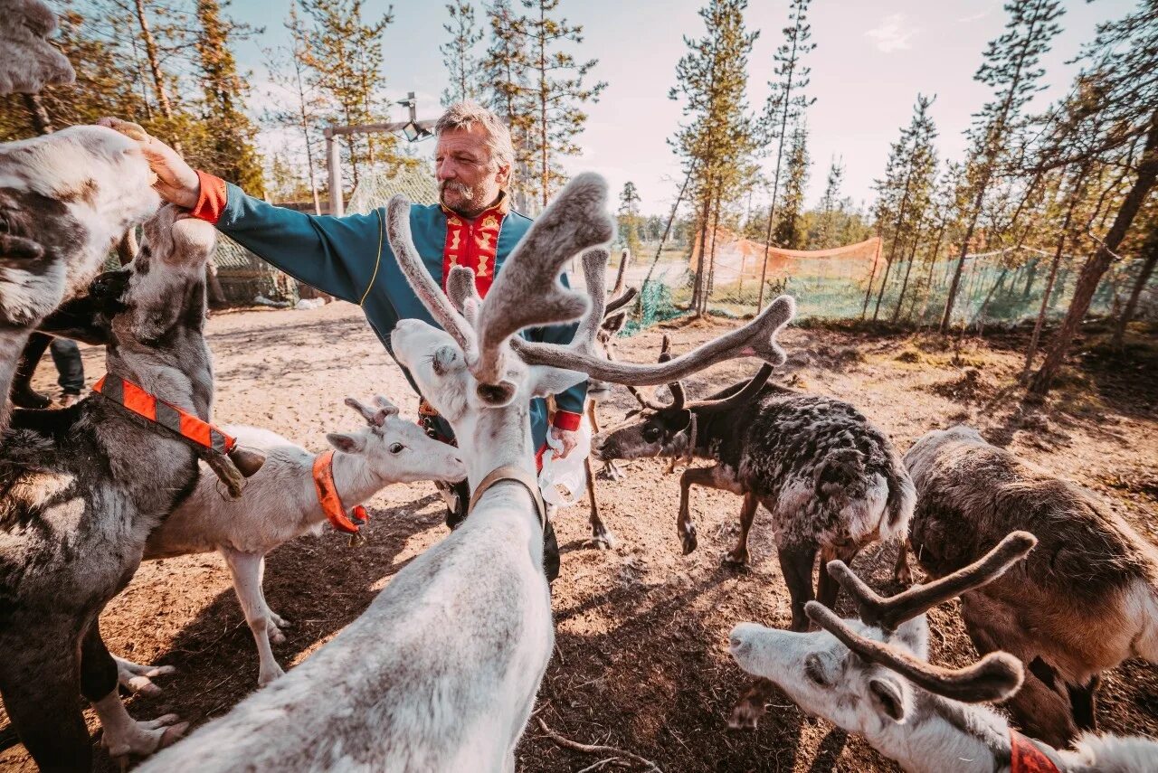 Ловозеро Саамская деревня. Кольский полуостров Саамская деревня. Мурманск деревня саамов. Самь сыйт Мурманск деревня.