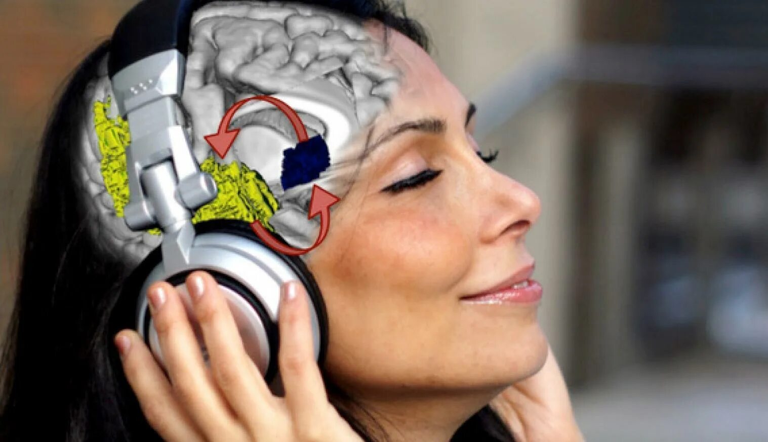 Музыка головного мозга. Музыкотерапия. Влияние музыки на человека. Музыкальный мозг. Как музыка влияет на мозг человека.