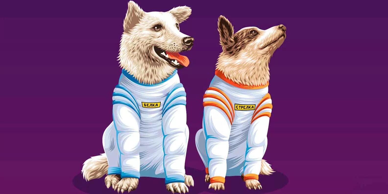 Картинка белка и стрелка в космосе. Белка и стрелка космонавты в космосе. Белка и стрелка собаки космонавты. Белка собака космонавт. Стрелка собака космонавт.
