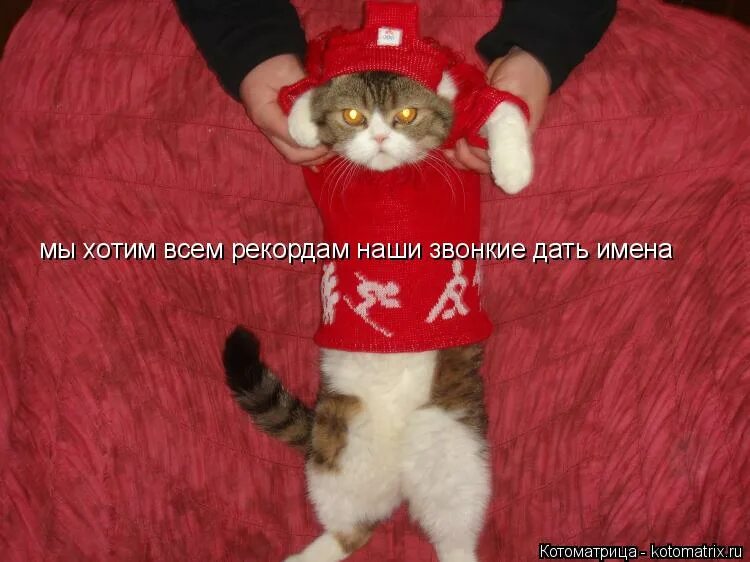 Презентация наши имена. Мы хотим всем рекордам наши звонкие дать имена. Имена людей. Проект наши имена. Мы хотим всем рекордам.