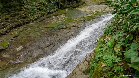 Река лоо