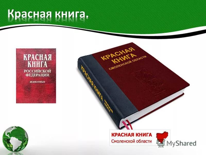 Редчайшие животные из Красной книги
