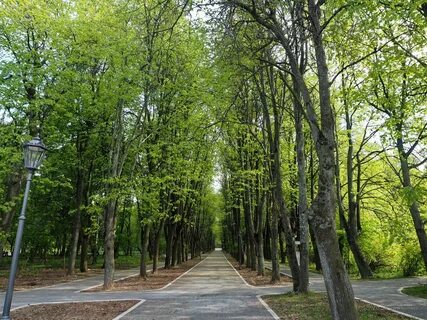 Пастернак аллея