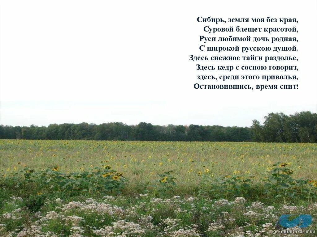 Природа сибири текст. Сибирь земля моя без края. Зауралье низменности. Моя земля моя Сибирь. Сибирь мой край.