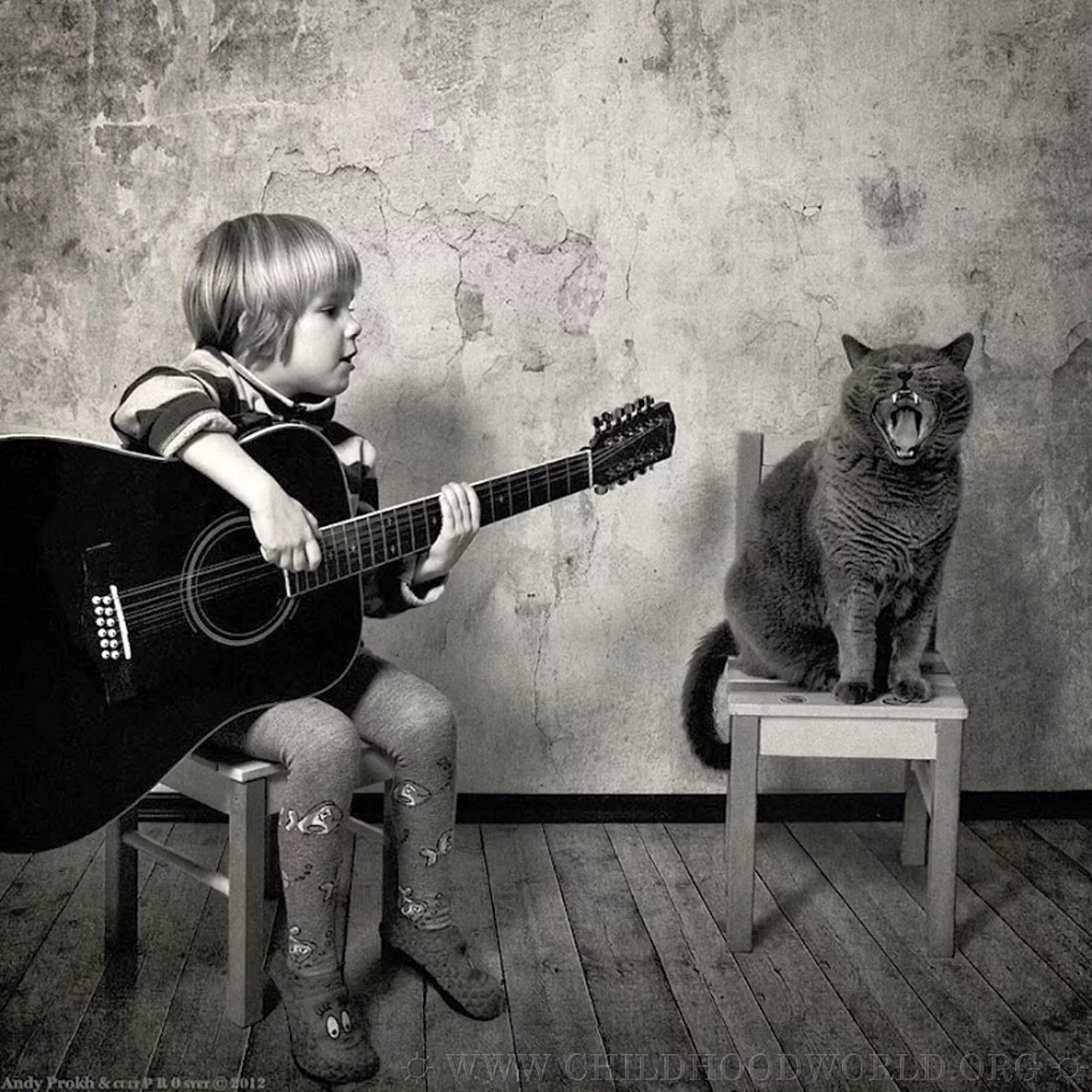 Пой веселую музыку. Andy Prokh. Andy Prokh фотограф. Животные с электрогитарой. Кот с электрогитарой.