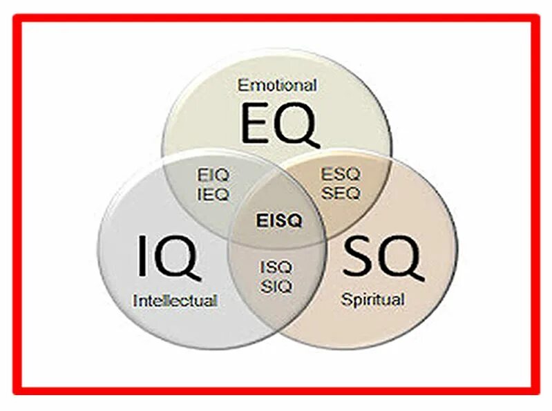 Pq iq
