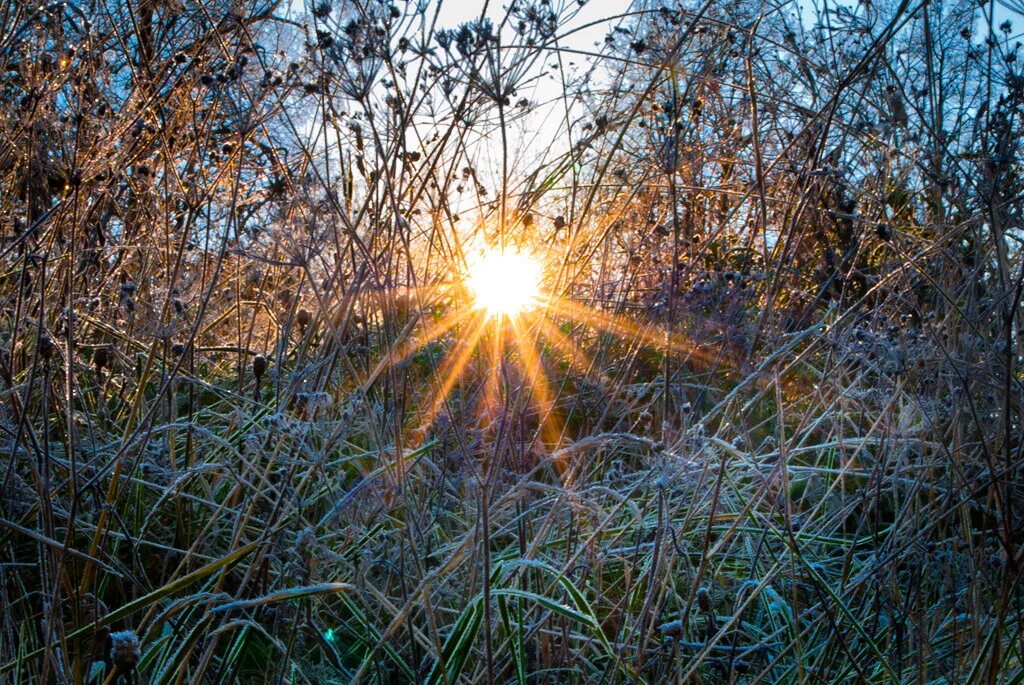 как пишется весеннее солнце. солнечная весна. яркое весеннее солнце.