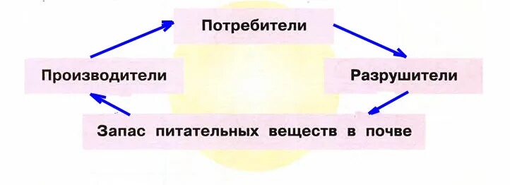 Великий круговорот жизни схема. Производители потребители Разрушители. Разрушители потребители производители окружающий мир. Схема производители потребители Разрушители.