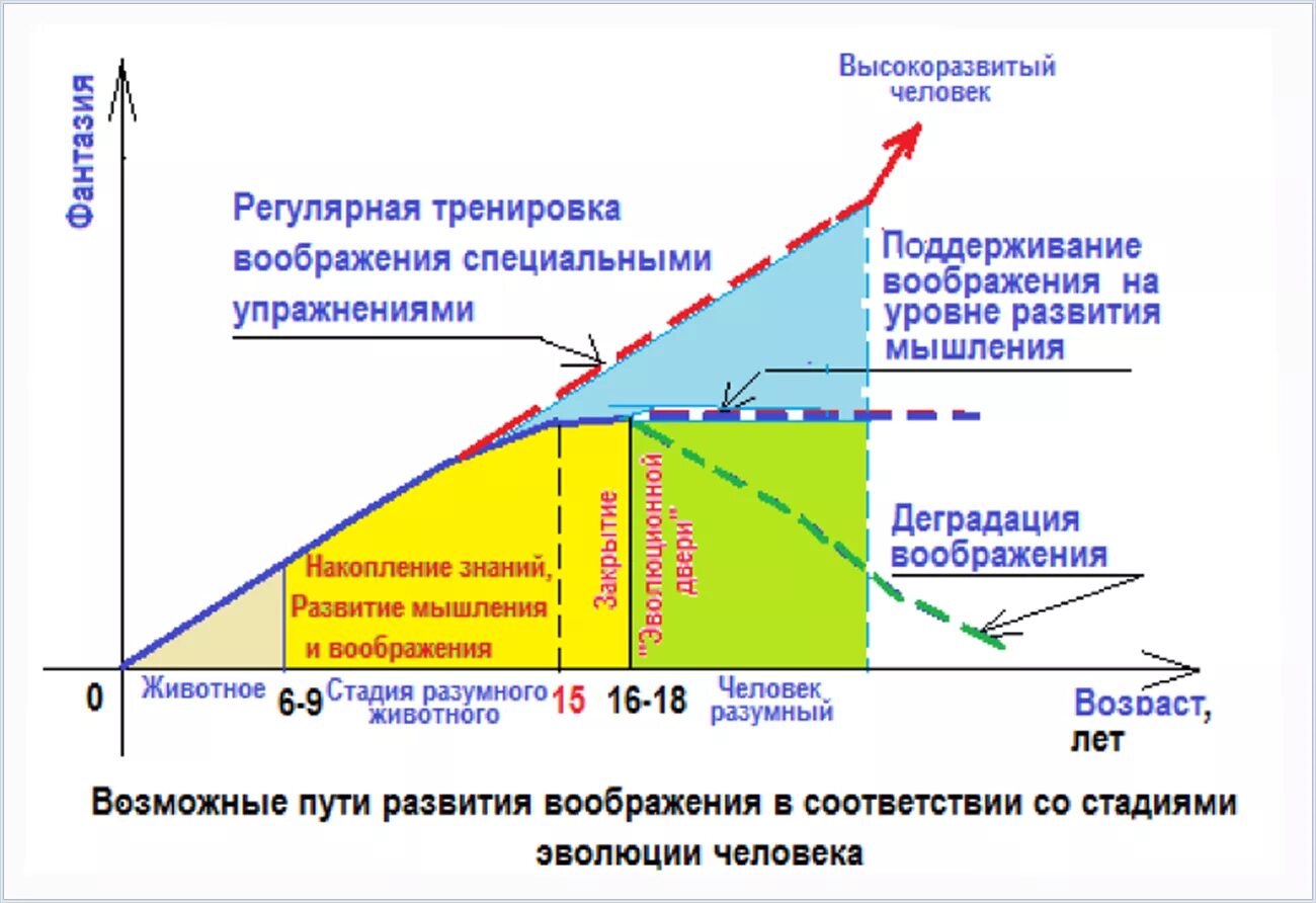 Шкала воображения. Кривая Рибо воображение. Пути развития воображения. Уровни развития воображения. Развитие воображения Рибо.