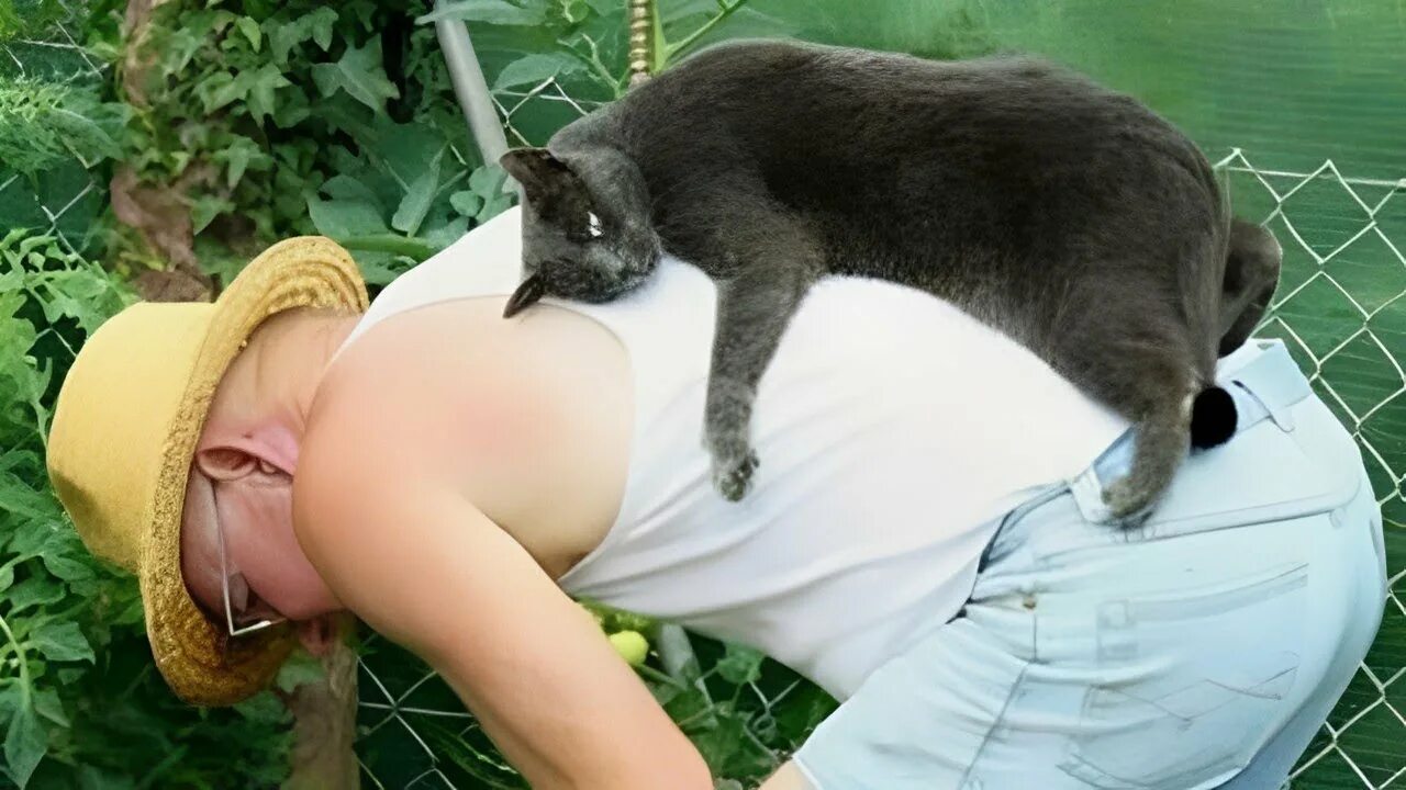 Уехал на дачу. Приколы с котами с подписями. Кралю свою отправь пока на дачу. Открытки про дачу. Кралю свою отправь пока на дачу.