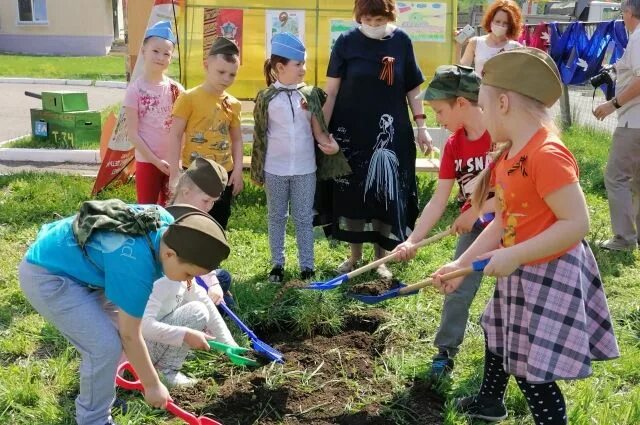 Сады Железногорска Красноярского края. Сад памяти высадка. Сад памяти в школе. Марьин сад Железногорск Красноярского края. Железногорск красноярский край сады