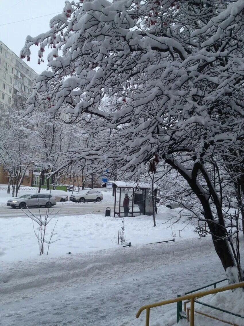Сколько сегодня снег. Снегопад в Москве. Снег сегодня. Снег в Москве сейчас. В Москве выпал снег.