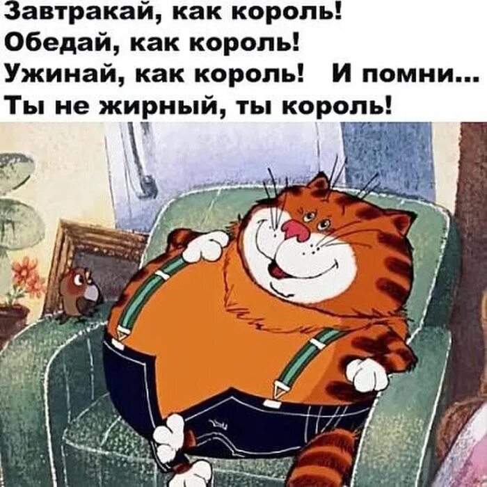 кот нас и здесь неплохо кормят. нас и здеть не плохо корямят. кот таити таити нас и здесь. гаити, маити. таити нас и здесь неплохо кормят.