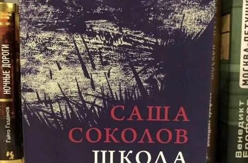 Книга школа для дураков